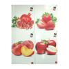 Kép 2/2 - *24626 FÜZET A4 PIGNA vonalas 42lap Fruits