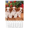 Kép 10/13 - *24871 FALINAPTÁR 2024 Kutyák spirálozott CSG FN098  21*32cm