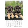 Kép 11/13 - *24871 FALINAPTÁR 2024 Kutyák spirálozott CSG FN098  21*32cm