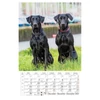 Kép 13/13 - *24871 FALINAPTÁR 2024 Kutyák spirálozott CSG FN098  21*32cm