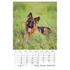 Kép 3/13 - *24871 FALINAPTÁR 2024 Kutyák spirálozott CSG FN098  21*32cm
