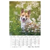 Kép 6/13 - *24871 FALINAPTÁR 2024 Kutyák spirálozott CSG FN098  21*32cm