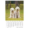 Kép 8/13 - *24871 FALINAPTÁR 2024 Kutyák spirálozott CSG FN098  21*32cm