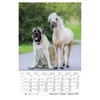 Kép 9/13 - *24871 FALINAPTÁR 2024 Kutyák spirálozott CSG FN098  21*32cm
