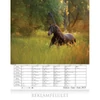 Kép 3/4 - *25148 FALINAPTÁR 2025 Hazai tájakon CSG FN080  30x34cm