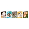 *32553 FÜZET A5 BLASETTI sima 42l 80gr vegyes minta