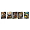 *32553 FÜZET A5 BLASETTI sima 42l 80gr vegyes minta
