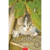 *33212 FALINAPTÁR 2026 Cicák CSG spirálozott FN089  21*32cm