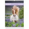 Kép 1/2 - *35967 FALINAPTÁR 2025 Lovak LIZZY B4 spirálozott  23,5*33cm
