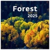 Kép 1/4 - *36021 FALINAPTÁR 2025 Forest GOS spirálozott  H166  30*30cm