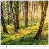 Kép 2/4 - *36021 FALINAPTÁR 2025 Forest GOS spirálozott  H166  30*30cm
