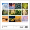 Kép 3/4 - *36021 FALINAPTÁR 2025 Forest GOS spirálozott  H166  30*30cm