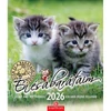 *38722 FALINAPTÁR 2026 Én és a barátaim CSG spirálozott FN U05 19*22cm