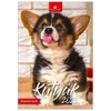 Kép 1/5 - *38813 FALINAPTÁR 2025 Kutyák Dayliner spirálozott  FA-KU-B4  23*33cm