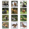 Kép 2/2 - *41309 FALINAPTÁR 2025 Vadászat T-Calendar 33*33cm spirálozott