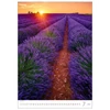 Kép 3/4 - *44129 FALINAPTÁR 2025 Provence  H142  31,5*45cm