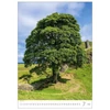 Kép 4/4 - *44153 FALINAPTÁR 2025 Fák-Trees GOS H125   31,5*45cm