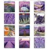 Kép 2/2 - *46073 FALINAPTÁR 2025 Levendula T-Calendar 33*33cm spirálozott