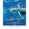 *46190 FALINAPTÁR 2026 Csodálatos bolygónk CSG FN U10CS  30*34cm