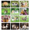 Kép 2/2 - *48148 FALINAPTÁR 2025  Cicák  T-Calendar  23*33cm spirálozott