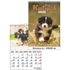 Kép 1/2 - *48149 FALINAPTÁR 2025 Kutyák  T-Calendar  23*33cm spirálozott