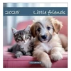 Kép 1/2 - *50777 FALINAPTÁR 2025 Little Friends  LIZZY lemez 30*30cm
