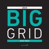 Kép 1/3 - *51038 FALINAPTÁR 2023 Big Grid (Gigarács) Lizzy lemez 30*30cm