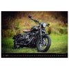 Kép 4/5 - *52868 FALINAPTÁR 2025 Motorbikes  45*31,5  H154