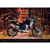 *52868 FALINAPTÁR 2026 Motorbikes  45*31,5  H154