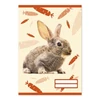 Kép 5/6 - *53914 FÜZET A5 pd  3.oszt. 12-32 "Colores Cute Animals"