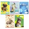 Kép 2/2 - *54062 FÜZET A5 pd  vonalas  21-32 "Colores Cute Animals"