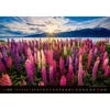 *59986 FALINAPTÁR 2026 Landscapes tájak GOS H128   45*31,5cm
