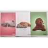 Kép 2/2 - *60789 FÜZET A4  STREET Friends vegyes mintás sima 54l   63322