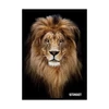 Kép 2/3 - *60796 FÜZET A5 vonalas STREET Safari 54 lapos  65883