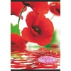 Kép 1/4 - FÜZET A4 UNIPAP kockás 96lap "Flowers"