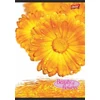 Kép 3/4 - FÜZET A4 UNIPAP kockás 96lap "Flowers"