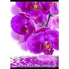 Kép 2/4 - FÜZET A4 UNIPAP vonalas 32lap" Flowers"