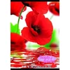Kép 4/4 - FÜZET A4 UNIPAP vonalas 32lap" Flowers"