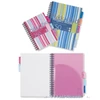 Kép 2/4 - FÜZET spirál A4 PUKKA PAD Projekt Book Stripe 5reg. = 250old. PP