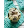 Kép 2/3 - FÜZET spirál A4 VICTORIA mintás 80lap kockás vegyes minta (Animals, ISVFPAN480SK)