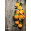 Kép 3/3 - FÜZET spirál A4 VICTORIA mintás 80lap vonalas vegyes minta (Fruit, ISVFPF480SV)