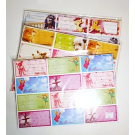 FÜZETCÍMKE ZT 12 cimke/1ív  színes