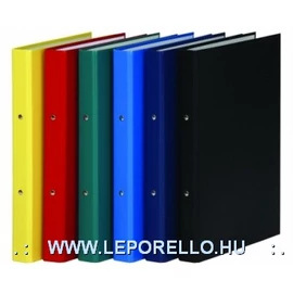 *01137 GYŰRŰSKÖNYV A4 2 RING PAPIR  DD3732