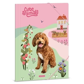 GUMIS DOSSZIÉ A4 ARS UNA vegyes minta (Wild and Free, 50213597)