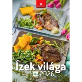 *07430 FALINAPTÁR 2026 recept Izek világa  Dayliner spirálozott FA-ÍV-B4  23*33