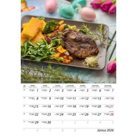 *07430 FALINAPTÁR 2026 recept Izek világa  Dayliner spirálozott FA-ÍV-B4  23*33