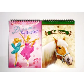 *12276 NOTESZ spirál A6 Zátonyi általános