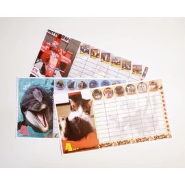 *18001 ÓRAREND ZT A+B hét  karton mintás