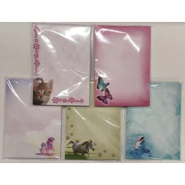 NOTESZ A6 mágneses  Zátonyi