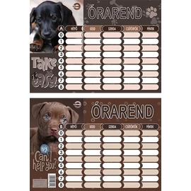 *22344 ÓRAREND T-Crea nagy